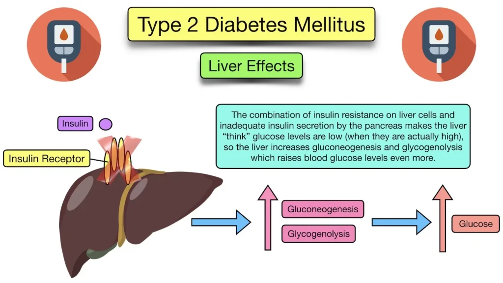 Diabetes and Liver Health