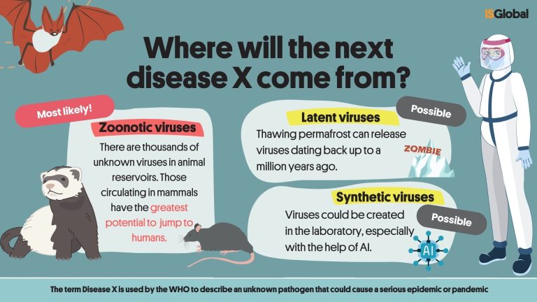 Disease X Preparedness: How Scientists Are Fighting Future Pandemics Disease X Preparedness