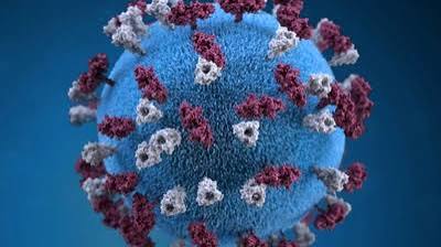 Why Measles Cases Are Rising and How to Stay Protected Measles Cases