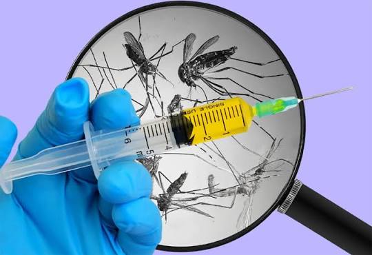 Malaria and Dengue Vaccines: Latest Global Health Breakthroughs Malaria and Dengue Vaccines